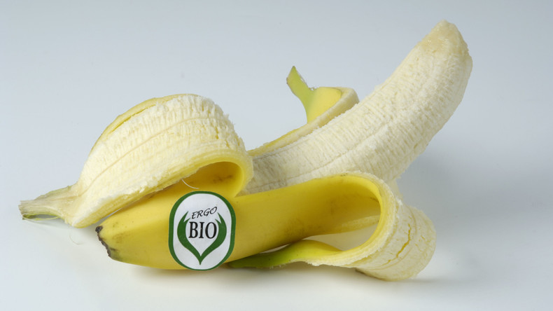 Tückisches Versteck: Riesige Drogenladung zwischen Bio-Bananen in Nordrhein-Westfalen entdeckt 