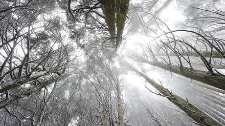 Zwei elfjährige Jungen verlaufen sich im Ural-Wald und überleben kalte Nacht unter freiem Himmel