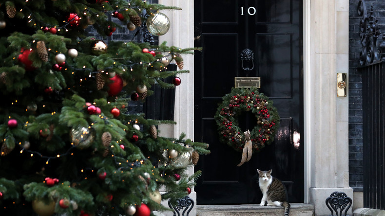 Downing Street: Wegen Nachlässigkeit des Mäusejägers muss Sanitätsdienst 40 Mal bestellt werden