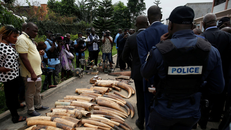 Einer der weltweit führenden Elfenbein-Forscher in Kenia ermordet