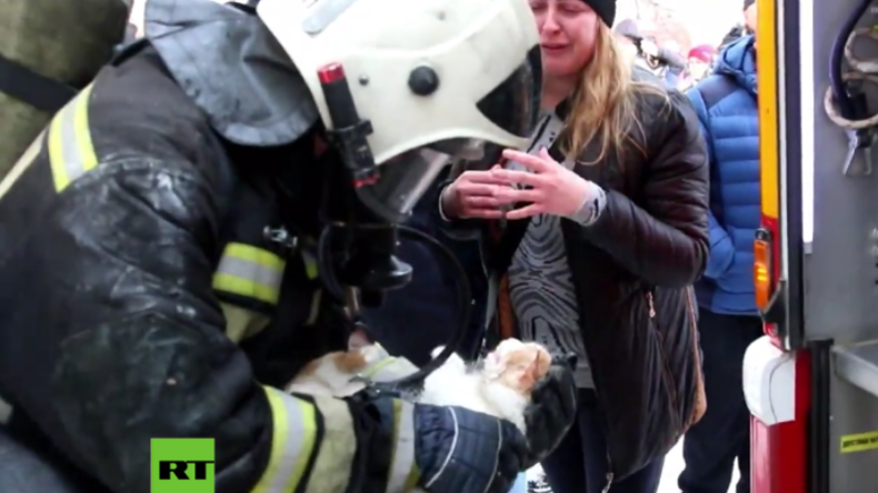 Russland: Feuerwehrmänner holen scheintote Katze aus brennender Wohnung zurück ins Leben