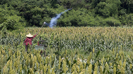Peking: US-Überschussdumping schadet chinesischen Landwirten