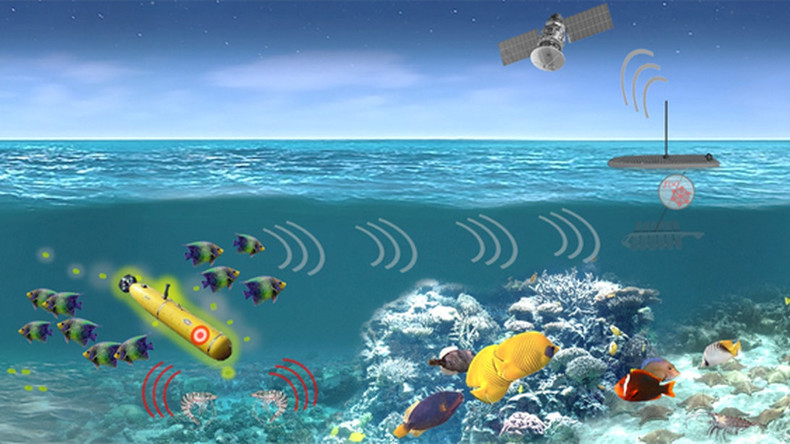 USA bereiten Einsatz von Meeresorganismen zur Ausspähung von Unterwasserfahrzeugen vor