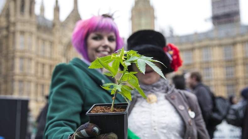 UNO: Großbritannien weltweit größter Produzent und Exporteur von legalem Cannabis 