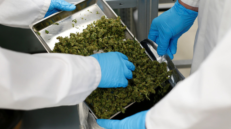 Deutschland: Nachfrage nach medizinischem Cannabis steigt rasant
