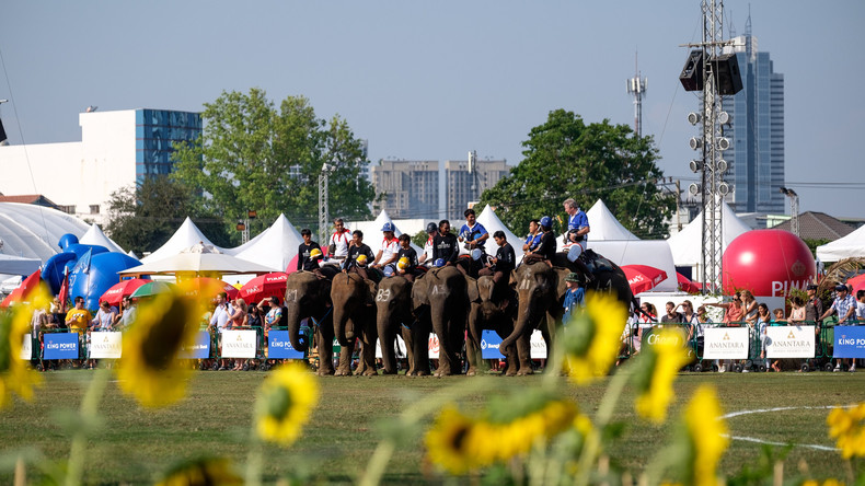 Polo mit Elefanten: Großes Turnier in Bangkok
