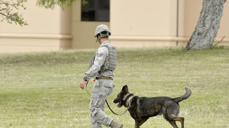 US-Armee gesteht Misshandlung von Militärhunden und gelobt Besserung