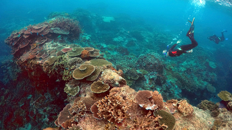 Great Barrier Reef bekommt ultradünne Schutzschicht gegen Sonnenstrahlen