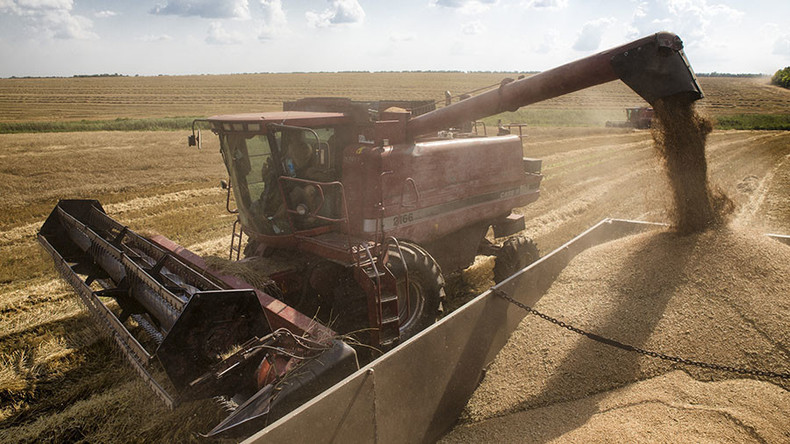 Russlands Getreideexporte nach China erreichen Rekordwert