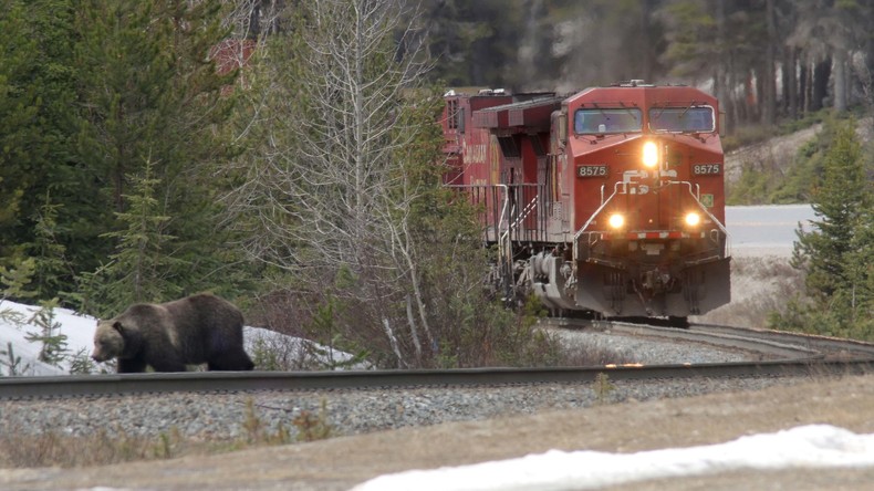 Kanada: Zug mit 80 Menschen entgleist und kippt um – keine Todesopfer