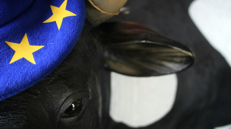 Hirte fordert Erbarmen: Trächtige Kuh, die EU-Grenze überschritt, soll Rückkehr mit Leben bezahlen