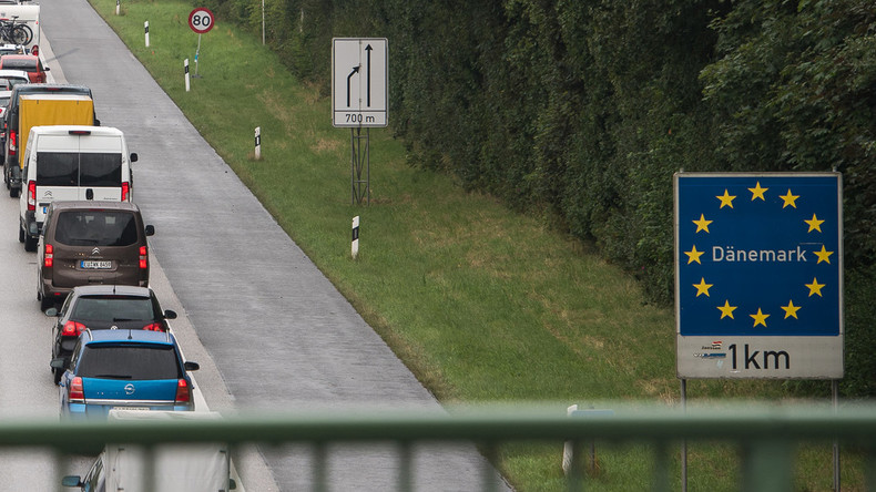 Grünes Licht für Wildschwein-Zaun an deutsch-dänischer Grenze 