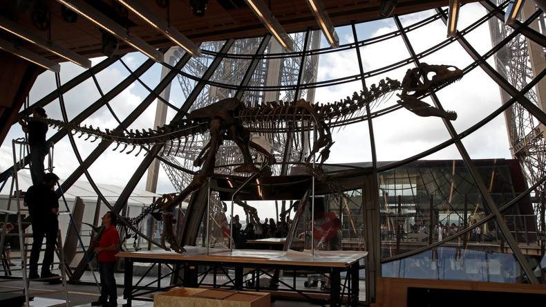 Paris: Über 150 Millionen Jahre altes Dino-Skelett für zwei Millionen Euro versteigert