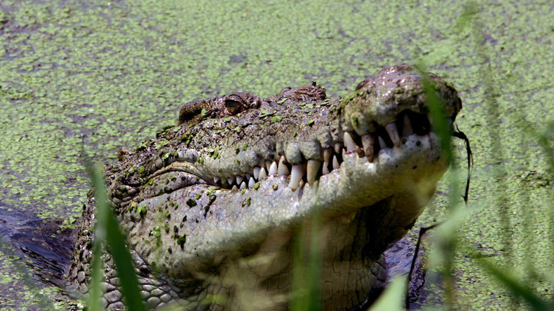 Äthiopien: Krokodil tötet Priester während Massentaufe in einem See