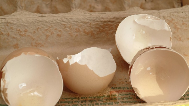 Insektengift Fipronil erneut in Eiern nachgewiesen