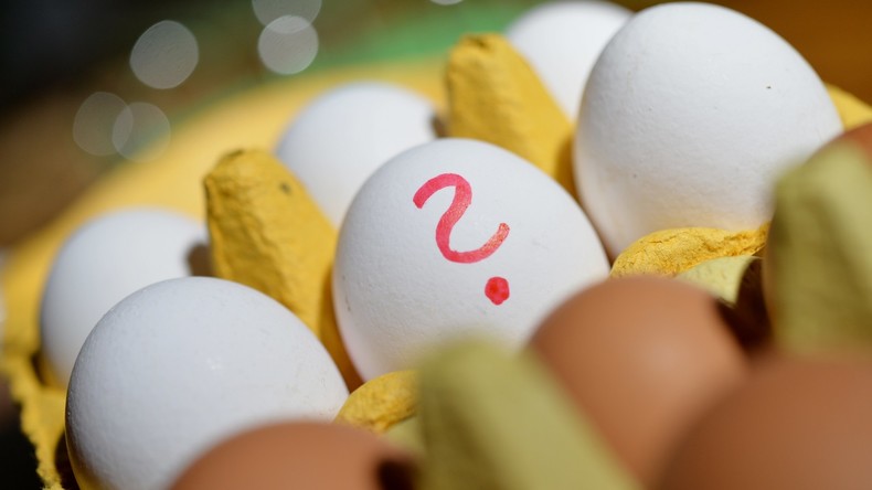 73.000 Fipronil-Eier in sechs Bundesländern in Verkauf gelangt 
