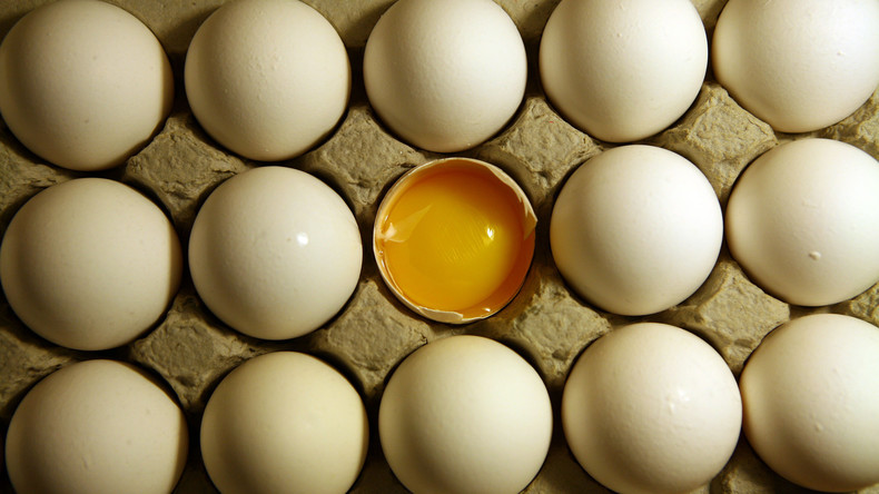 Behörden warnen vor Salmonellen in Bio-Eiern aus Supermärkten 