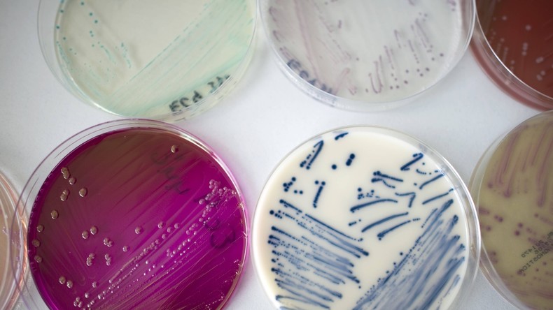 Forscher gehen mit Arzneimittel-Mischungen gegen multiresistente Bakterien vor