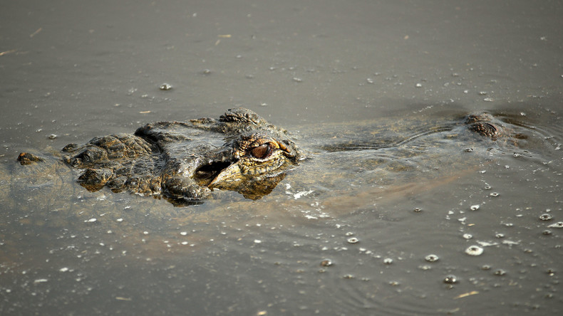 Mutterinstinkt: Frau vertreibt Krokodil und rettet ihren Sohn aus dessen Schnauze