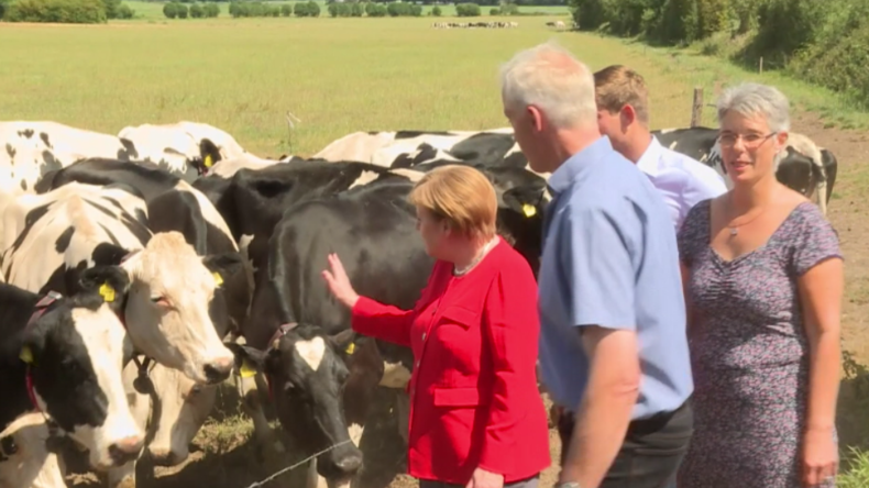 Bundeskanzlerin besucht Milchbetrieb und wird Kuh-Mama: "Futter ist interessanter als ich"