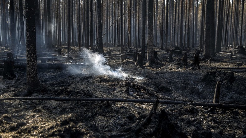 Großer Torf- und Waldbrand: Lettland braucht internationale Hilfe