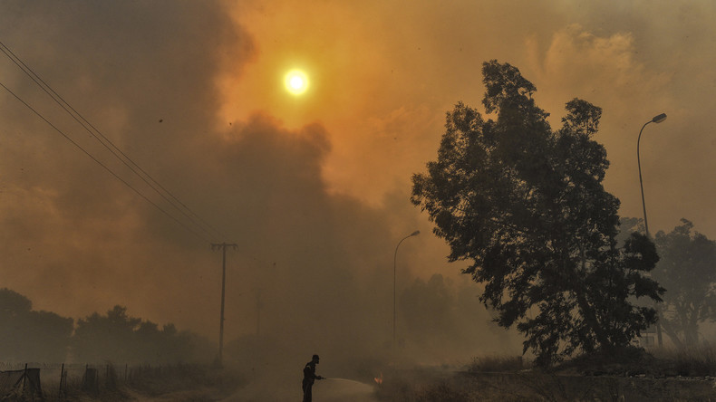 Extreme Hitze und Waldbrände weltweit