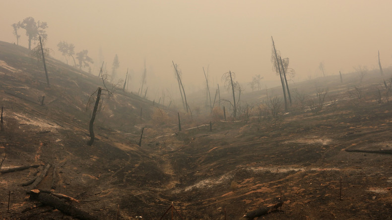 Fortschritte im Kampf gegen Buschbrände in Kalifornien 