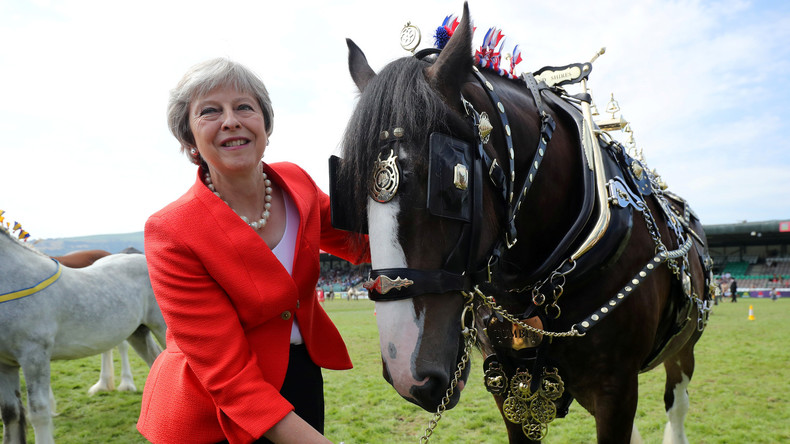 Theresa May lässt Noteinsatzpläne der Armee im Falle eines No-Brexit-Deals ausarbeiten