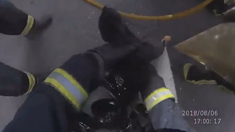 Spanische Feuerwehrleute retten Welpen aus brennendem Gebäude