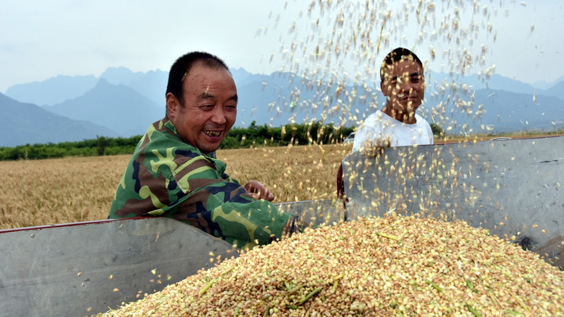 Medien: China steht vor Einbruch der Weizenlieferungen nach Zöllen auf US-Waren