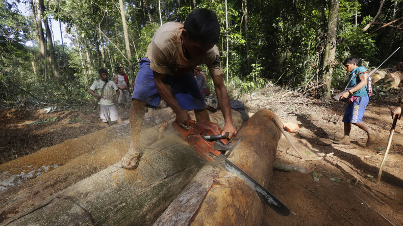 Indigene aus neun Ländern fordern besseren Schutz für Amazonasgebiet