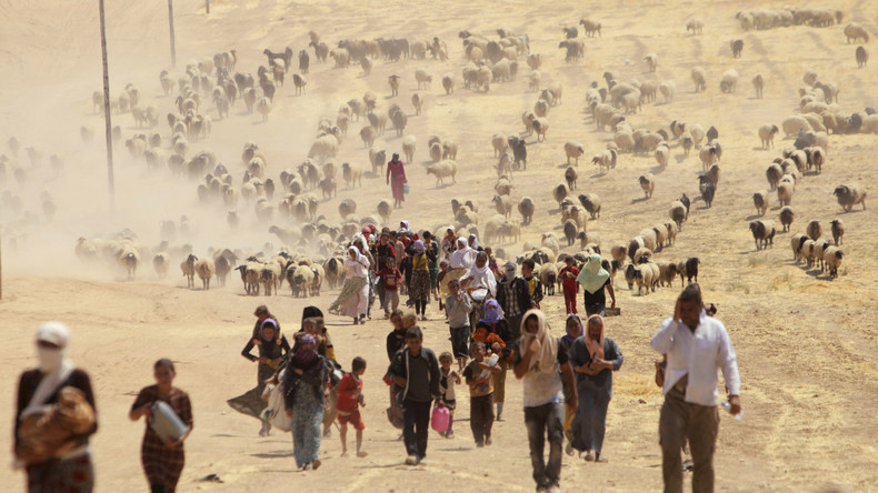 Nach Massaker an Jesiden: Vereinte Nationen tragen Informationen zu IS-Verbrechen im Irak zusammen