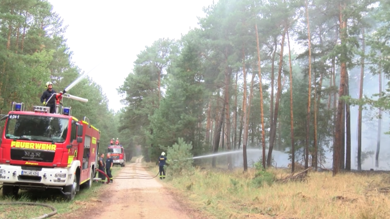 "Der Wind macht uns große Sorgen" - Riesiger Waldbrand wütet vor Berlin