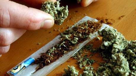 Großbritannien: Verschleppte und versklavte Kinder schuften auf illegalen Cannabis-Plantagen