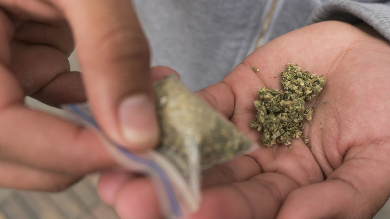 Südafrika legalisiert privaten Konsum und Anbau von Marihuana 