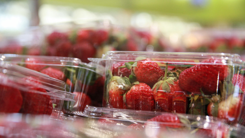 "Essensterror-Welle" erreicht Neuseeland: Supermarkt ruft mit Nadeln präparierte Erdbeeren zurück