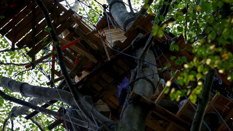 Räumung im Hambacher Forst fortgesetzt - 53 Baumhäuser abgebaut