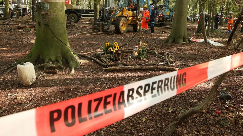 Räumung im Hambacher Forst geht weiter – Gegner demonstrieren friedlich 