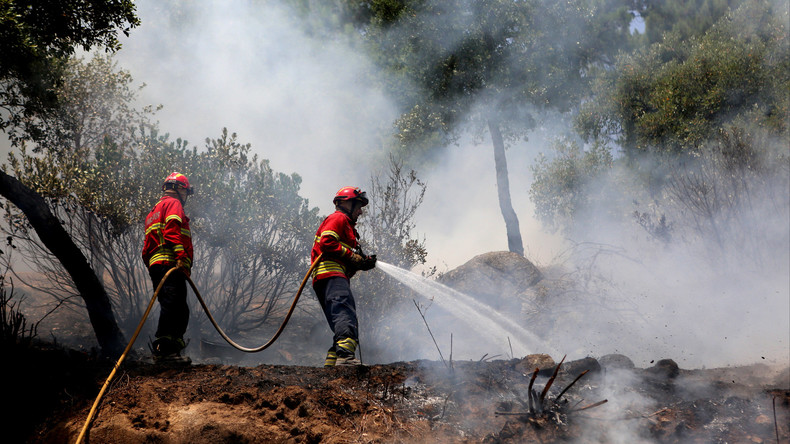 Waldbrand in Portugal - Großeinsatz im Naturpark von Sintra
