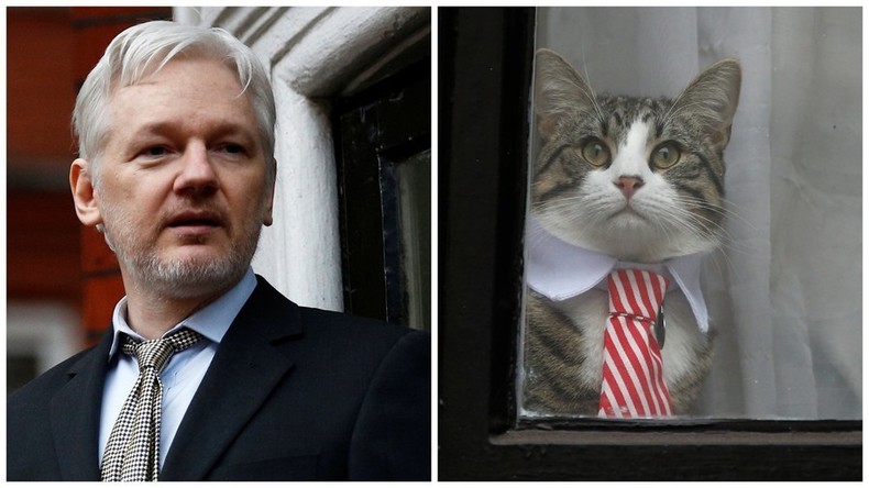Neue Regeln für Assange: Keine politischen Aussagen, eigene Rechnungen bezahlen, Kater selbst hüten
