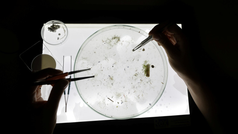Forscher entdecken zum ersten Mal Mikroplastik im Menschen 