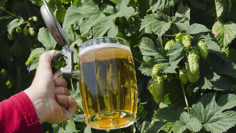 Schlafen im Hopfen-Himmel: Brauerei eröffnet Bierhotel in USA