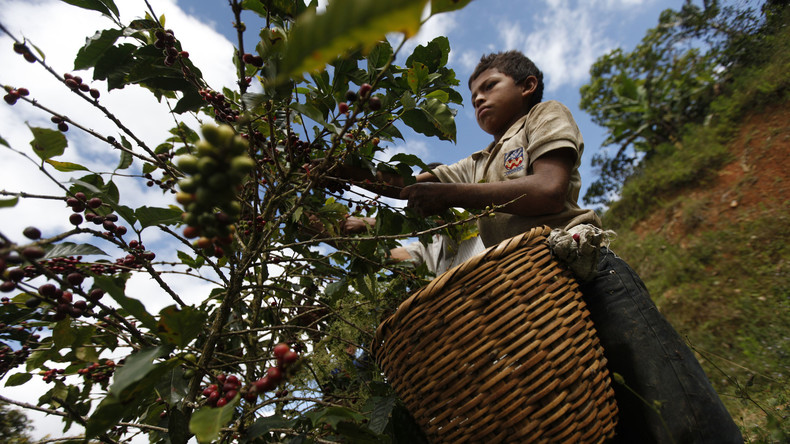 Präsident von Honduras ruft zum "Kreuzzug" gegen niedrige Kaffeepreise auf