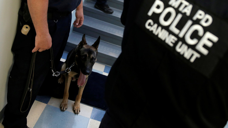 Alle Hunde kommen in den Himmel: US-Polizisten veranstalten Gedenkgottesdienst für K-9-Offizier