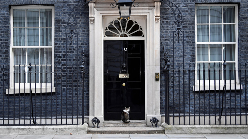Lasst den Kater herein! Polizist klopft bei Downing Street 10 an, damit Mäusejäger nach Hause kann