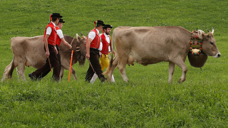 Schweizer stimmen über Selbstbestimmungsinitiative und Kuh-Hörner ab