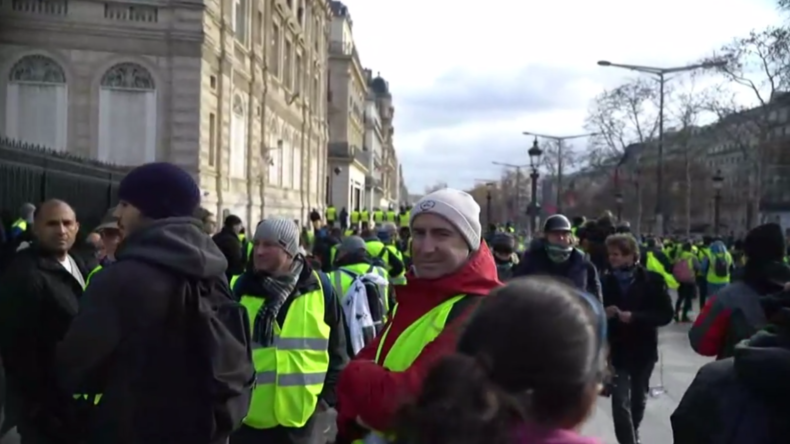 "Gelbwesten"-Demonstranten erklären ihre Motive