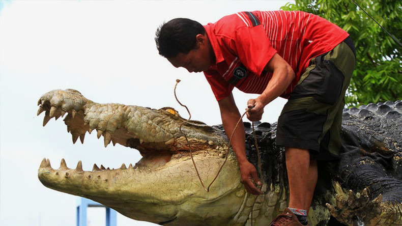 Fünf Meter langes Krokodil springt aus Gehege und frisst Frau bei lebendigem Leib