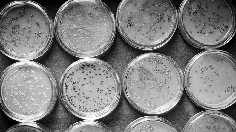 Über 100 Arten von Mikroorganismen auf der ISS entdeckt – manche haben Kunststoff zum Fressen gern