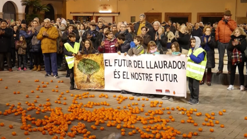 Das Kilo Orangen für 9 Cent: Landwirt-Proteste in Spanien gegen Preisverfall nach EU-Südafrika-Deal 